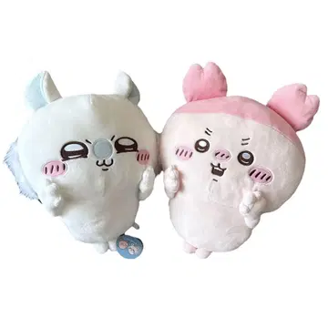 치이카와 모몽가 헌책방 카니짱 BIG 봉제 인형 모몽가 파우치 포함