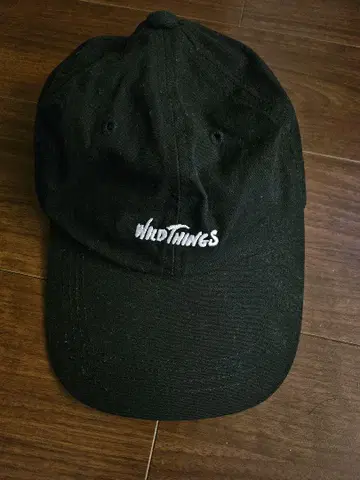 WILD THINGS 와일드 띵스 WT24157SL LOGO CAP