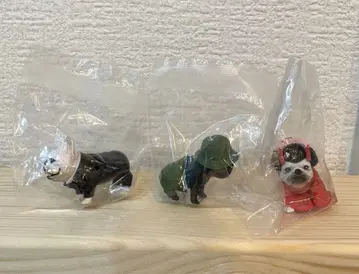 프렌치 불독 프렌즈