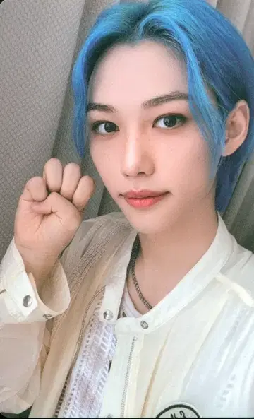 스트레이키즈와 팬들 FELIX 5-STAR 5TH