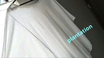 플랜테이션 빅 실루엣 탑