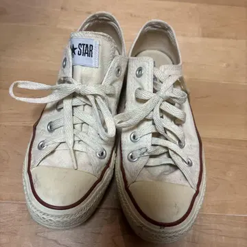 ALL STAR 크림색 로우 컷 스니커즈