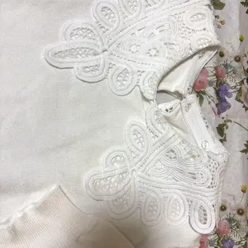 택 포함 새상품 노스탤지어 레이스 카라 부착 반팔 니트