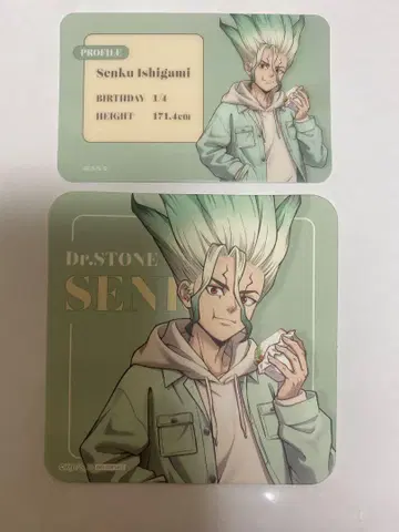 Dr.STONE 이시가미 치쿠사 mixgarden 믹스 가든