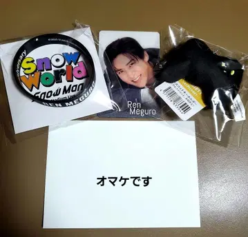 Snow World Ren Meguro 카드 세트