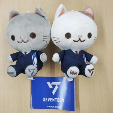 SEVENTEEN 고양이 봉제 인형 원우, 디노 세트