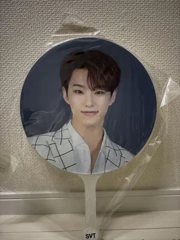 SEVENTEEN HOSHI 부채 Ode to You