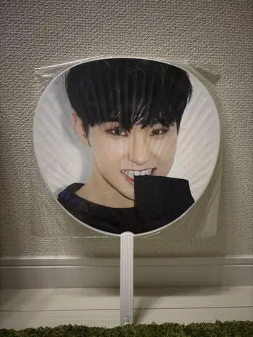 SEVENTEEN HOSHI DIAMOND EDGE 부채