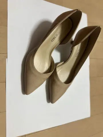 로데스코 펌프스