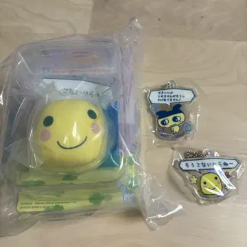 에어캡 세트