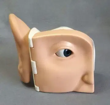 1995년 HASBRO 얼굴 반쪽 장난감 해즈브로