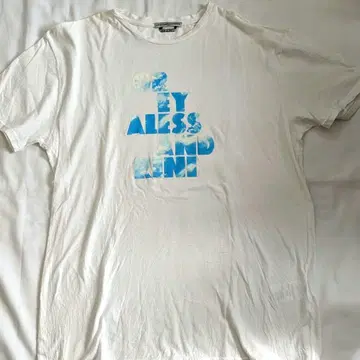 GREY ALLESANDRINNI 프린트 T