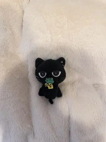 야기 유세이 멘프로