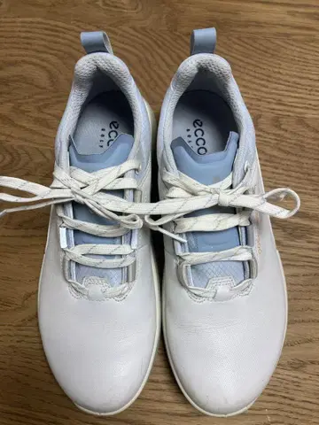 ECCO 에코 고어텍스 골프화 Gore-Tex
