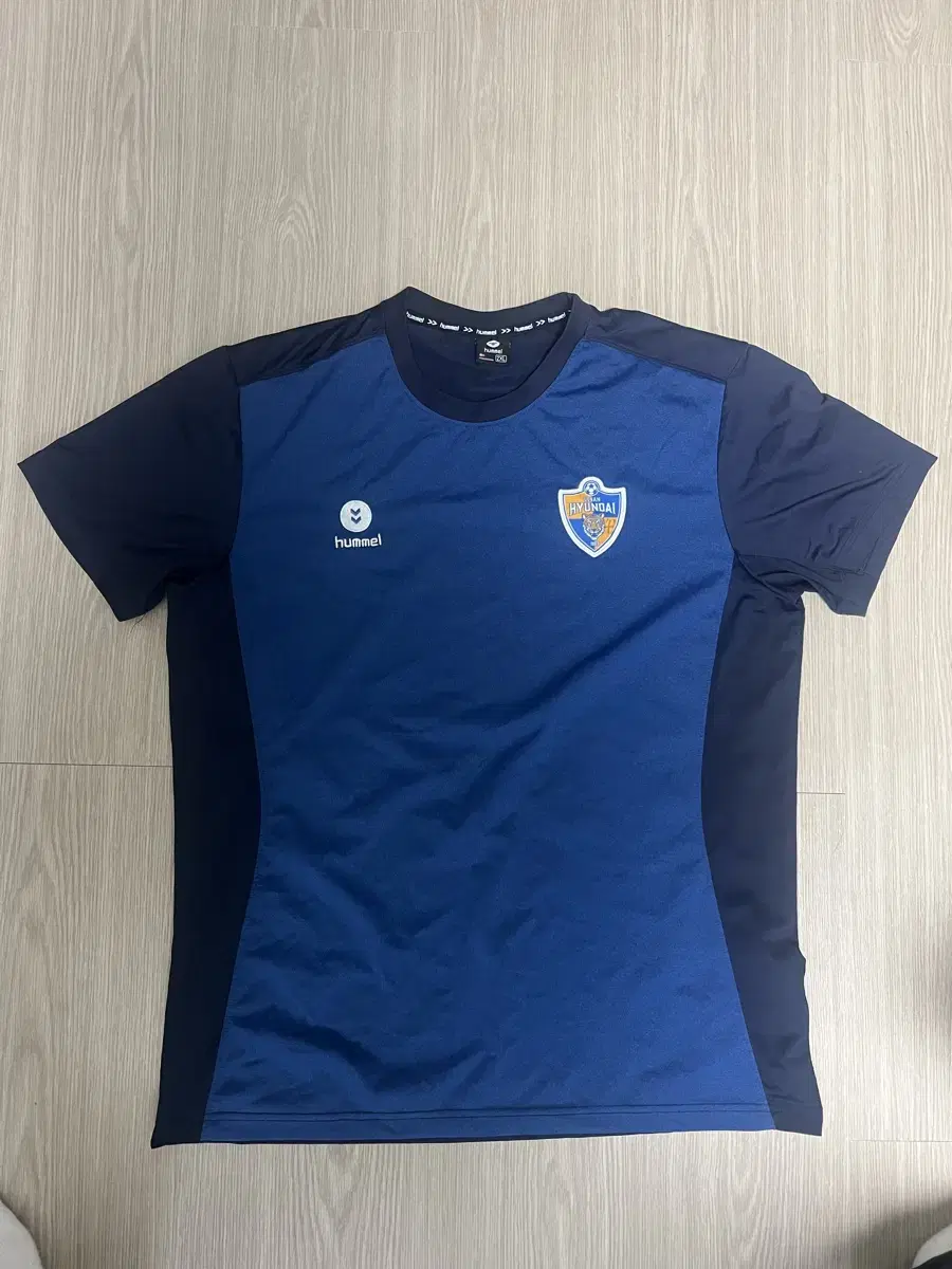 Ulsan Hyundai Training Top