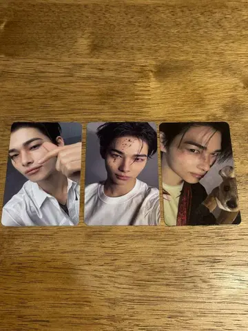 ENHYPEN DESIRE UNLEASH 3 형태 니키 세트