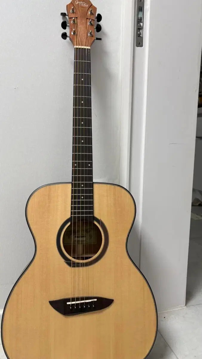 Gopherwood g110 Acoustic Guitar