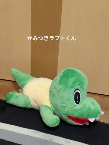 주라치쿠 카미츠키 랩토군 후쿠이 봉제 인형