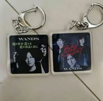 WANDS ~TIME STEW~ 랜덤 키링 우에하라 다이스케 지그재그
