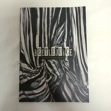 뮤지컬 비트루스 팜플렛 2025 제시