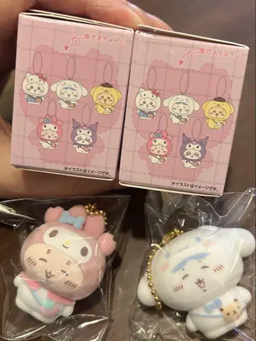 치이카와 (먼작귀) 산리오 키링 하치와레 가니짱 마이멜로디 시나몬