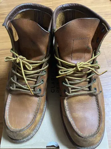 레드윙 00875 아이리쉬 세터 7 1/2 D
