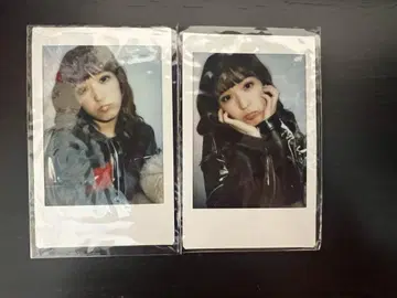 PIGGS 푸 루이 폴라로이드