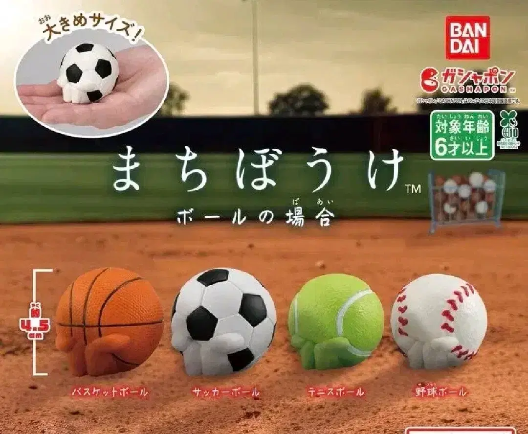 [Sealed New Product] Machiboke Machibouke When Will It Arrive Basketball