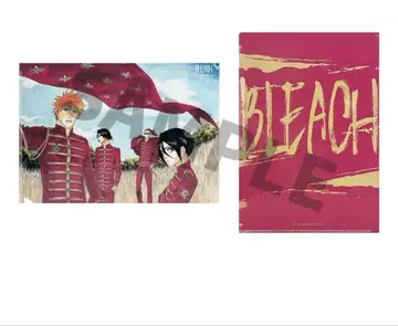 BLEACH 중국 한정판 쿠로사키 이치고 후목 루키아 클리어 파일 B