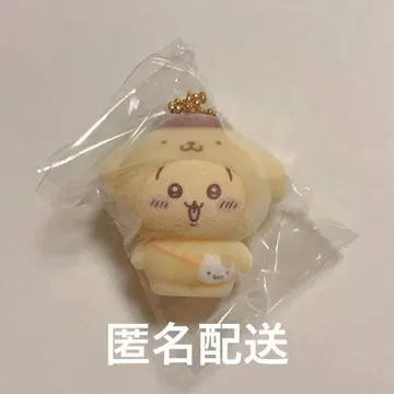치이카와 산리오 플로키 토끼