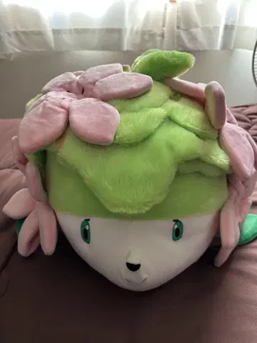 셰이미 20주년 봉제 인형