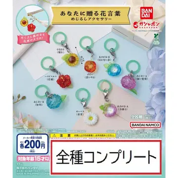 당신에게 보내는 꽃말 메지루시 액세서리 전 8종 컴플리트 가챠