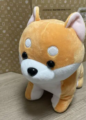 러블리 강아지