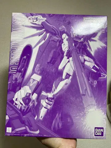 MG 1/100 데스티니 임펄스 건담 R