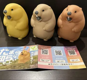 가챠가챠 가만히 있을 줄 모르는 마모트 전 종류 세트