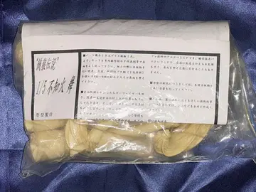KOF 굶주린 늑대 전설 시라누이 마이 레진 키트