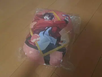 제일복권 컬러풀 피치 D상 유안군 아트 쿠션