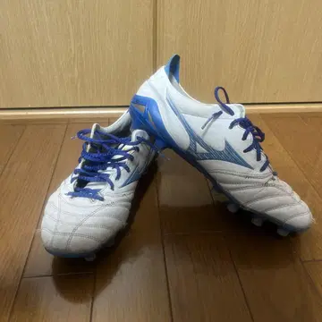 모렐리아 네오 4
