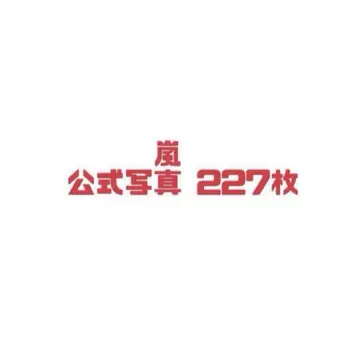 아라시 공식 사진