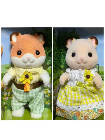 햄스터 실바니아