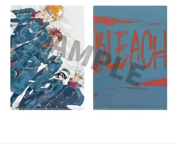 BLEACH 중국 한정판 쿠로사키 이치고 후목 루키아 클리어 파일 D