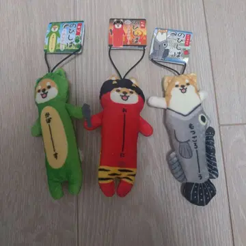 노비시바 오이타, 베푸, 사가