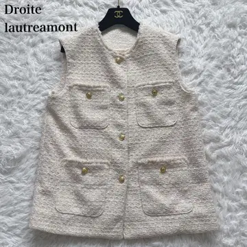 Droite lautreamont 믹스 트위드 베스트 골드 버튼