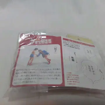 메이지 초코 조 & 히오마 디오라마 피규어 시크릿