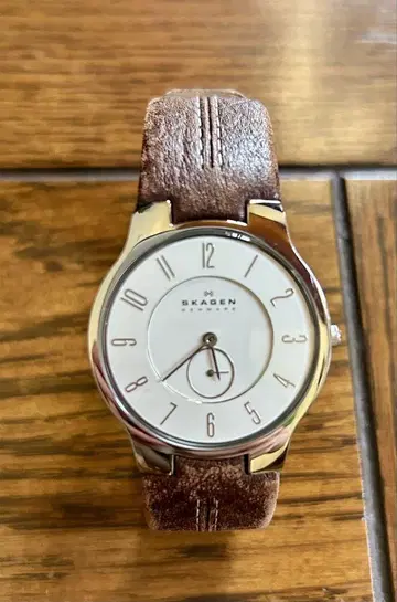 SKAGEN 아날로그 시계 화이트/브라운
