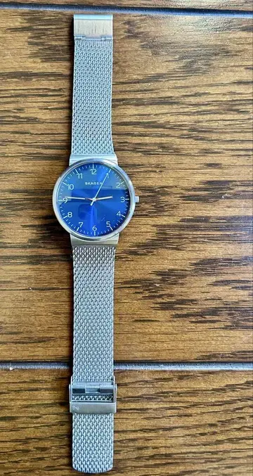 SKAGEN 스테인리스 스틸 메쉬 밴드 시계