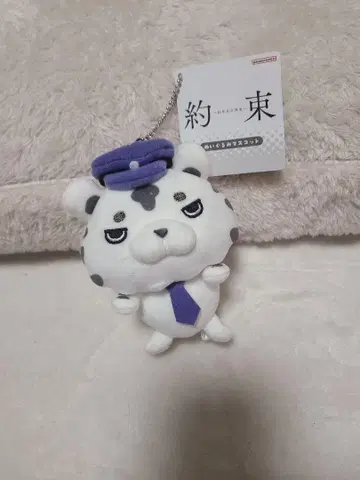 약속 16년째의 진실 마스코트
