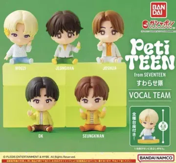 PetiTEEN 세븐틴 스와라세타이 VOCALTEAM 전종 컴프 세트