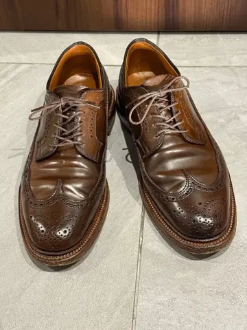 알든 올덴 시가 롱 윙팁 8E 97894