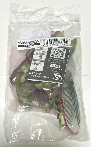 생물대도감 어드밴스 니세하나마오카마키리 수컷(성충) 온라인 버전